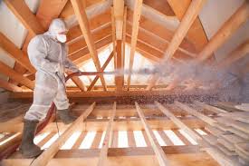 Best Spray Foam Insulation  in Conway Springs, KS